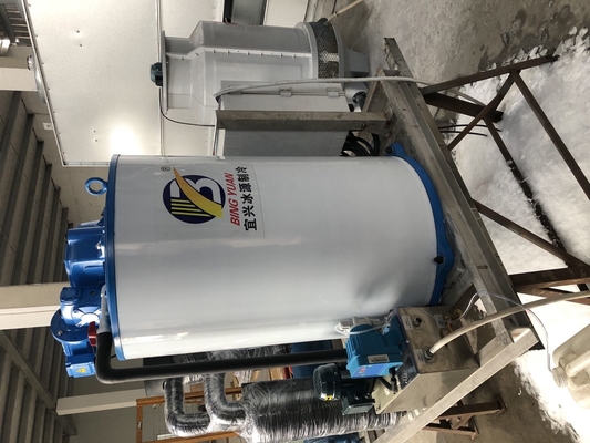 Taze Tutma Endüstriyel Yaprak Buz Yapma Makinesi 1 2 3T 5 10 Ton 15 20 30 40 Ton