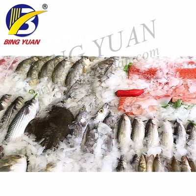 En Düşük Fiyat Tam Otomatik 0.5T / Günlük Yaprak Buz Yapma Makinesi