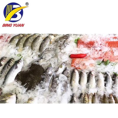 Evaporatif Soğutma 220V 15T 69KW Yaprak Buz Yapma Makinesi