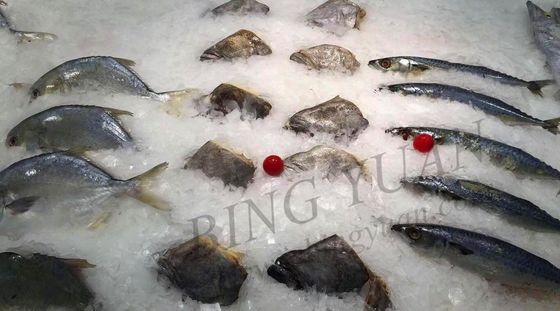 30 Ton Günlük Kapasiteli Yaprak Buz Makinesi, Enerji Tasarruflu Otomatik Buz Yapıcı