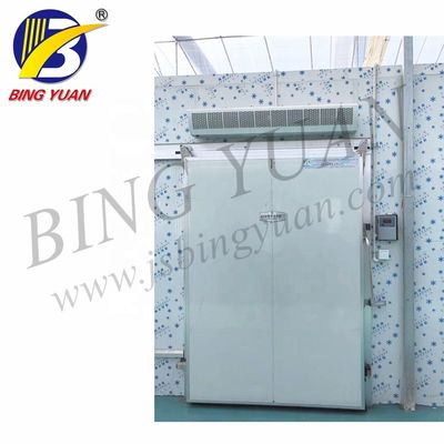 200KW 200mm R22 450V Meyve ve Sebzeler İçin Soğuk Hava Deposu