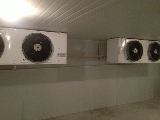 20m2 R404A Soğutucu Soğutma Üniteleri, Küçük Soğuk Hava Deposu